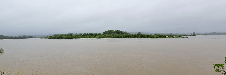 Hoge Waterstand Maas in Lanaken
